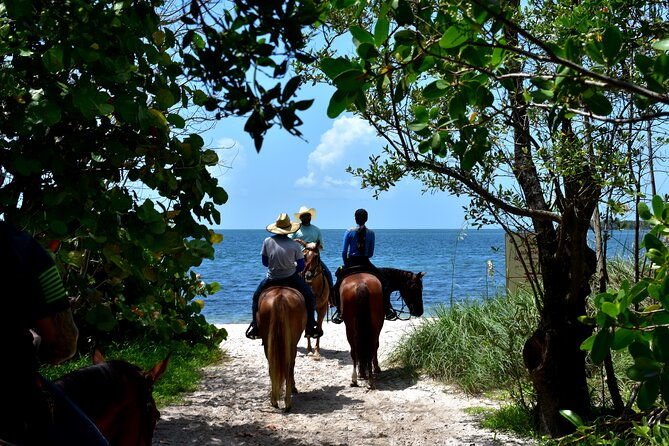 guided-horseback-riding-on-the-pristine-waters-of-miami-florida-2