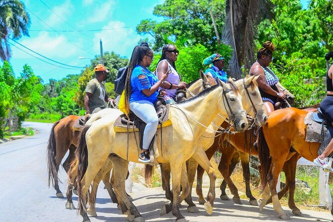 guided-horseback-riding-through-nature-in-punta-cana