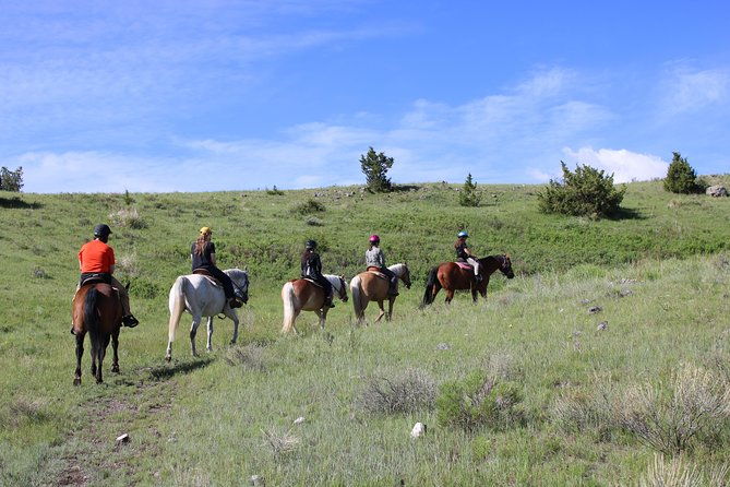 guided-horseback-trek-through-blue-flower-trail