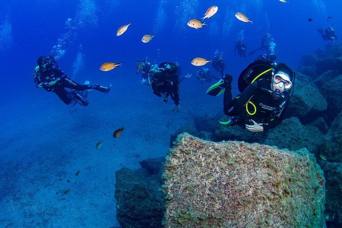 guided-immersion-from-santa-cruz-de-tenerife-2