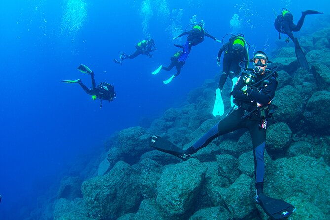 guided-immersion-from-santa-cruz-de-tenerife