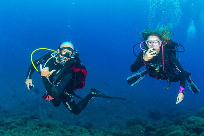 guided-immersion-from-santa-cruz-de-tenerife