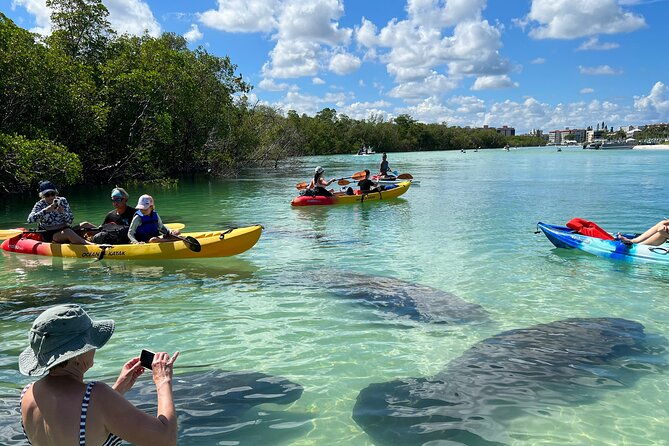 guided-island-ecotour-clear-standard-kayak-sup-bonita-springs