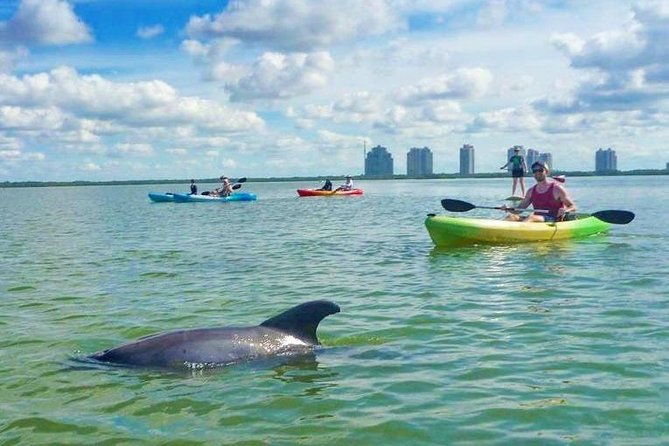 guided-island-ecotour-clear-standard-kayak-sup-bonita-springs