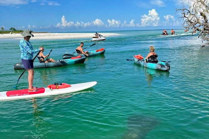guided-island-ecotour-clear-standard-kayak-sup-bonita-springs