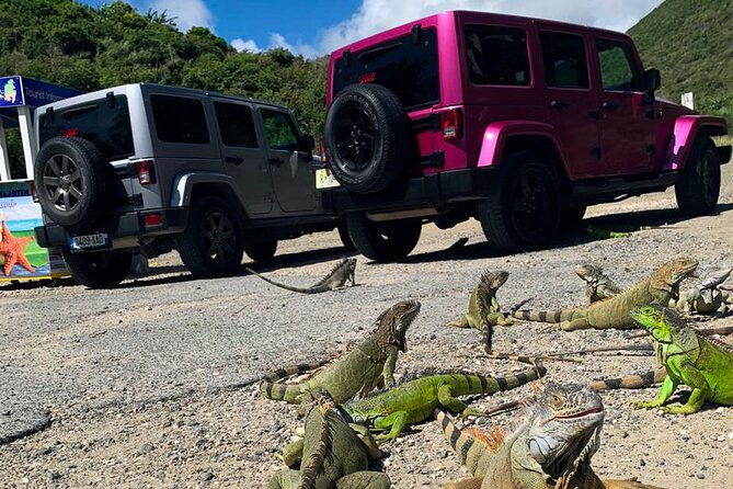 guided-jeep-tour-exploring-french-and-dutch-st-maarten