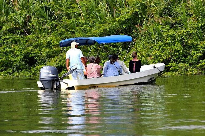 guided-jungle-adventure-with-gatun-lake-cruise