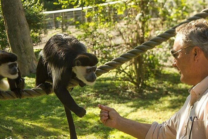 guided-jungle-adventure-with-gatun-lake-cruise