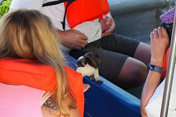 guided-jungle-adventure-with-gatun-lake-cruise