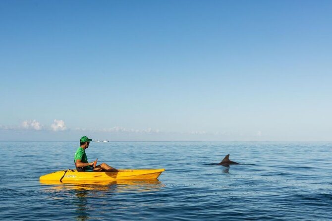 Guided Kayak 2-Hour Activity with Dolphins - FAQ