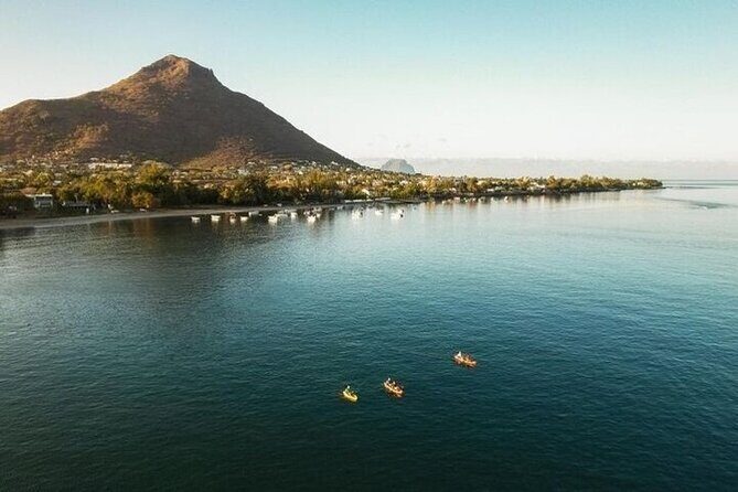 Guided Kayak 2 Hours Activity with Dolphins - Why People Love This Tour