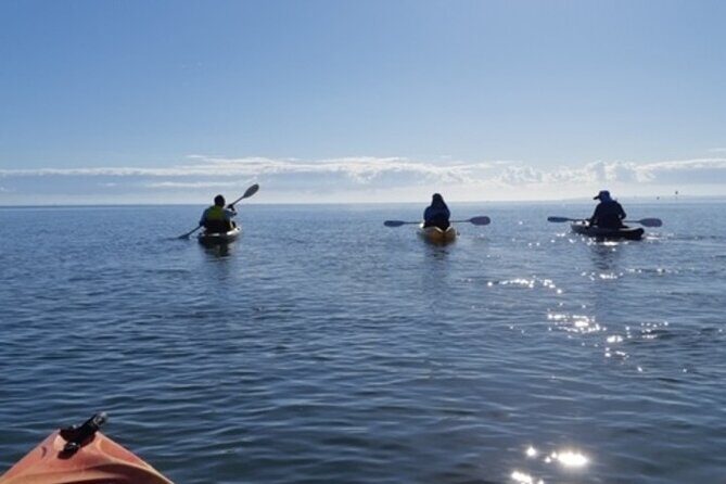 Guided Kayak Adventure Tour - The Experience in Detail