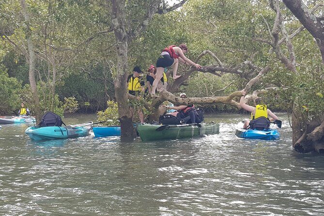 Guided Kayak Adventure Tour - Final Thoughts