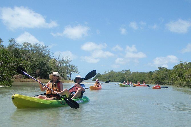 Guided Kayak Eco Tour - Bunche Beach - A Detailed Look at the Guided Kayak Eco Tour at Bunche Beach