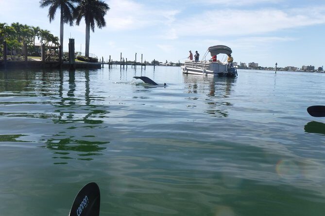 Guided Kayak Eco Tour - Bunche Beach - The Experience Breakdown: What to Expect
