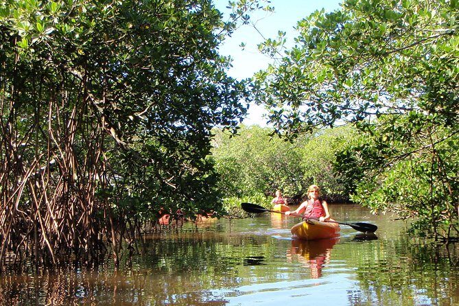 Guided Kayak Eco Tour - Bunche Beach - Who Should Book This Tour?