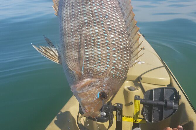 Guided Kayak Fishing - What Reviewers Say (Based on Existing Feedback)