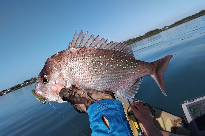 Guided Kayak Fishing - Who Should Consider This Tour?