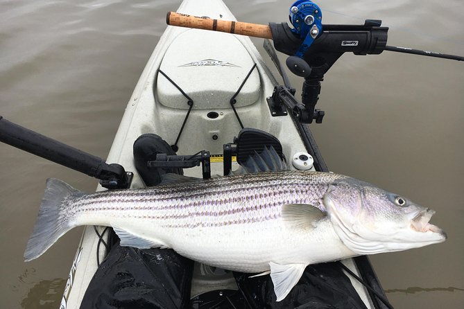 guided-kayak-fishing-tour