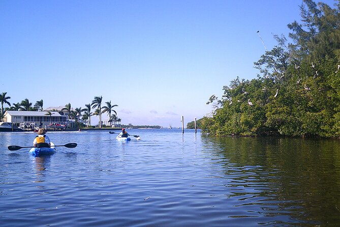 guided-kayak-sunset-tour-in-pelican-bay-at-fort-myers-beach