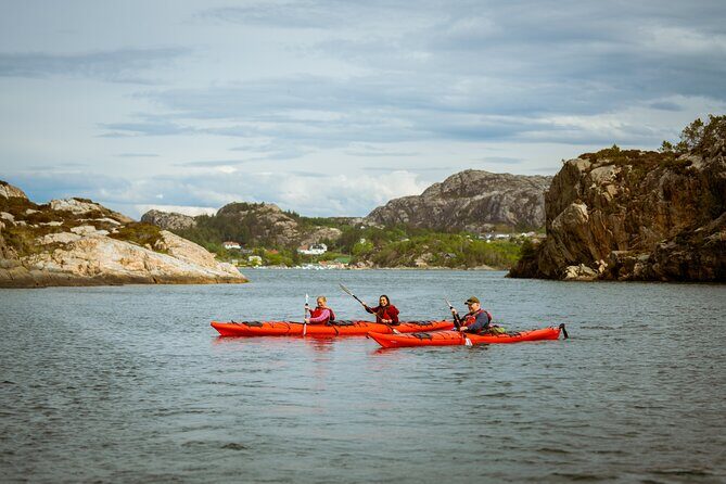 Guided Kayak Tour Bergen - Exploring the Bergen Kayak Tour: An In-Depth Look
