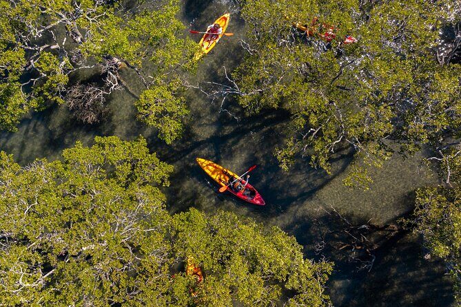 Guided Kayak Tour - Who Should Book This Tour?