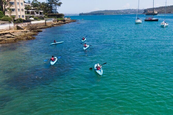 Guided Kayak Tour of Manly Cove Beaches - The Sum Up