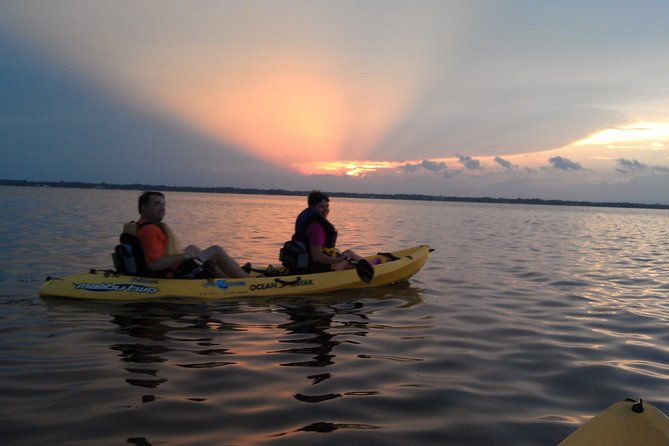 guided-kayak-tour-with-manatee-dolphin-sightings