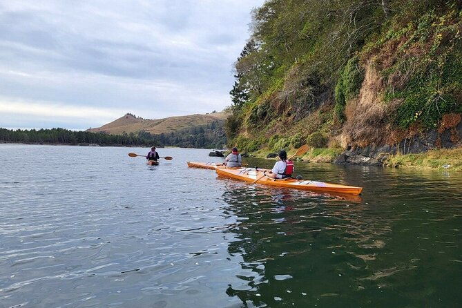 guided-kayak-tours-on-the-salmon-river-estuary-in-otis-oregon