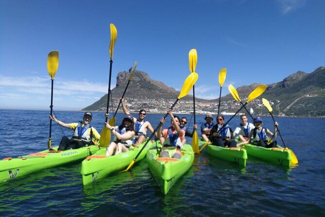 Guided Kayaking in Hout Bay - What to Expect During Your Kayaking Experience