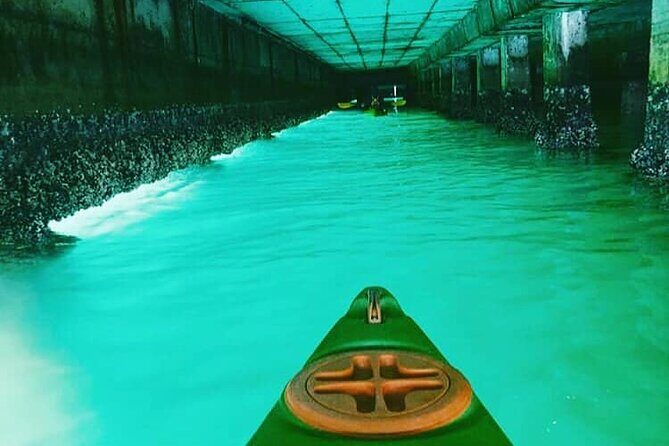 Guided Kayaking in Hout Bay - How Reviews Reflect the Experience