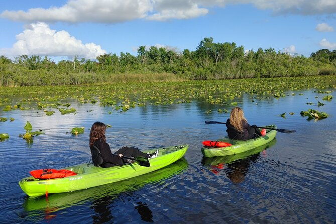 guided-kayaking-manatee-tour-near-orlando
