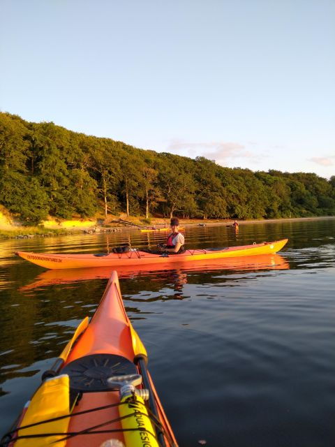 guided-kayaking-on-roskilde-fjord-private-tour