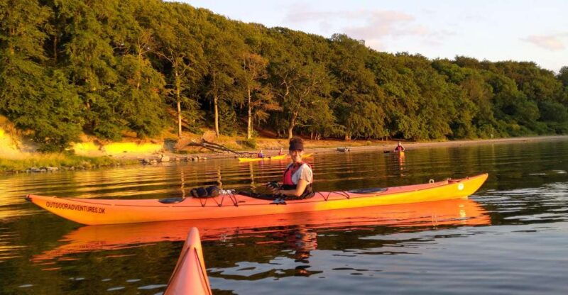 guided-kayaking-on-roskilde-fjord-sunday-afternoon