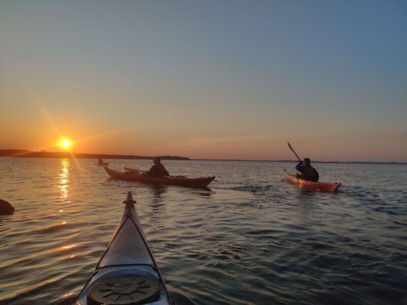 guided-kayaking-on-roskilde-fjord-sunset-tour