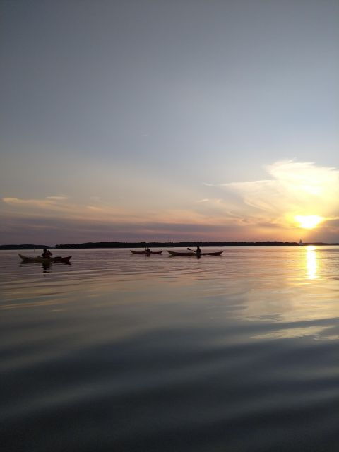 guided-kayaking-on-roskilde-fjord-sunset-tour