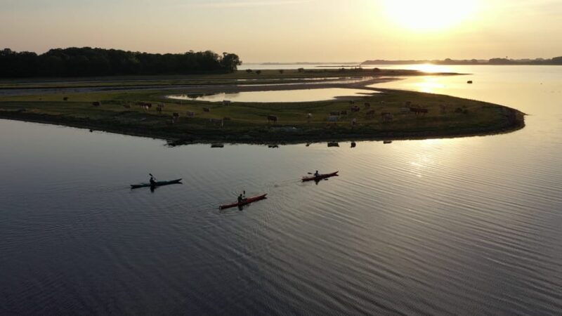 guided-kayaking-on-roskilde-fjord-sunset-tour