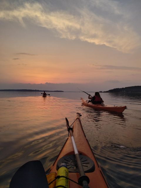 guided-kayaking-on-roskilde-fjord-sunset-tour