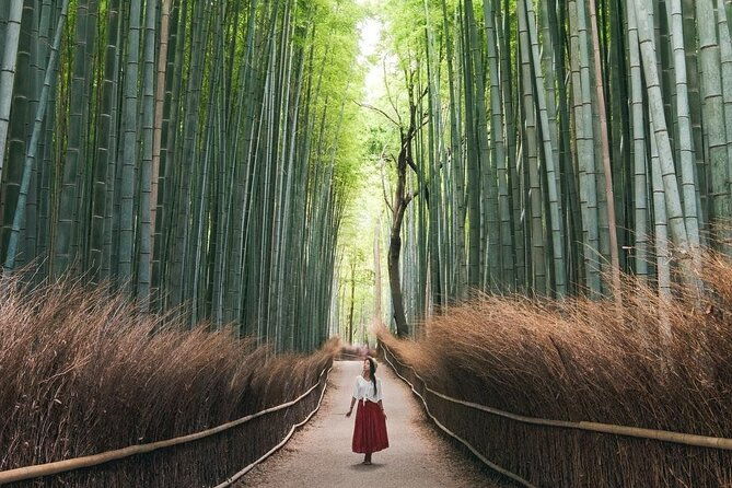 guided-kyoto-city-cherry-blossom-one-day-private-tour