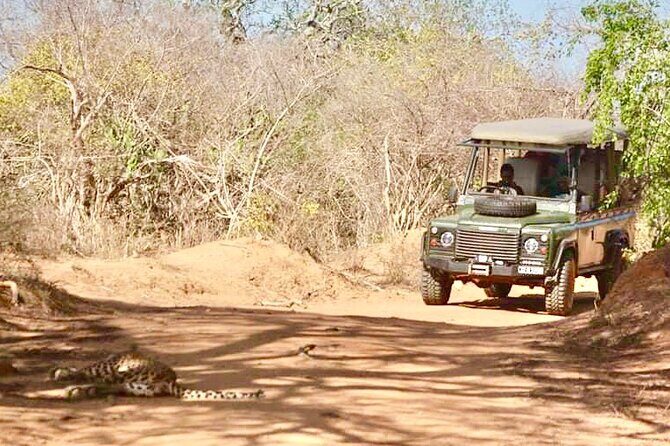 Guided Leopard Safari in Yala National Park in a Land Rover Defender - Additional Details and Practical Tips