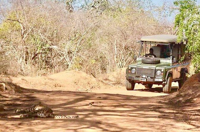 Guided Leopard Safari in Yala National Park in a Land Rover Defender - The Sum Up