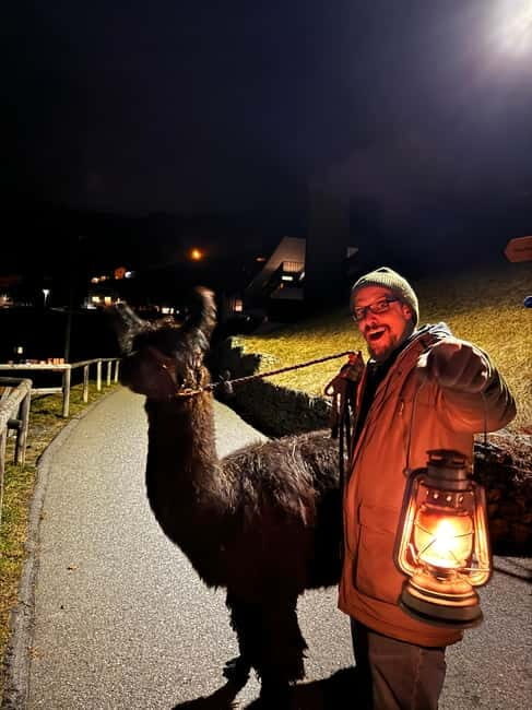 Guided llamawalk with a traditional, homemade cheesefondue - A Charming Evening: Guided Llamawalk with Homemade Cheesefondue in Liechtenstein