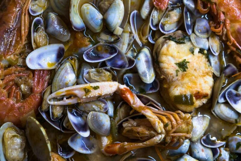 guided-marine-life-excursion-in-estepona