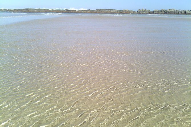 Guided Marine Walk: Sardinia Bay (Marine Protected Area) - 1 & Half Hour - An In-Depth Look at the Sardinia Bay Marine Walk