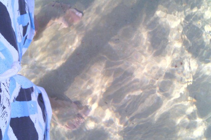 Guided Marine Walk: Sardinia Bay (Marine Protected Area) - 1 & Half Hour - FAQ