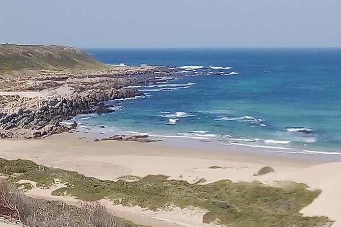 Guided Marine Walk: - Sardinia Bay (Marine Protected Area) - 2 hours - Exploring Sardinia Bay’s Marine World: A Practical Review of the Guided Marine Walk