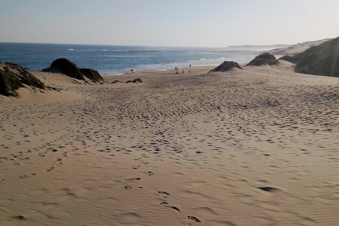 Guided Marine Walk: - Sardinia Bay (Marine Protected Area) - 3 hours - The Experience Through Reviewers’ Eyes