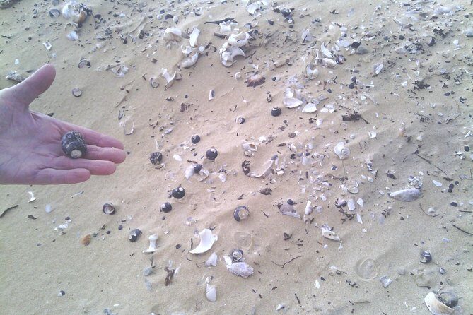 Guided Marine Walk: - Sardinia Bay (Marine Protected Area) - 3 hours - Who Should Consider This Tour?