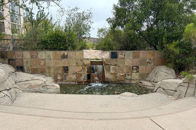 guided-meditation-and-mountain-hike-tour-in-san-diego