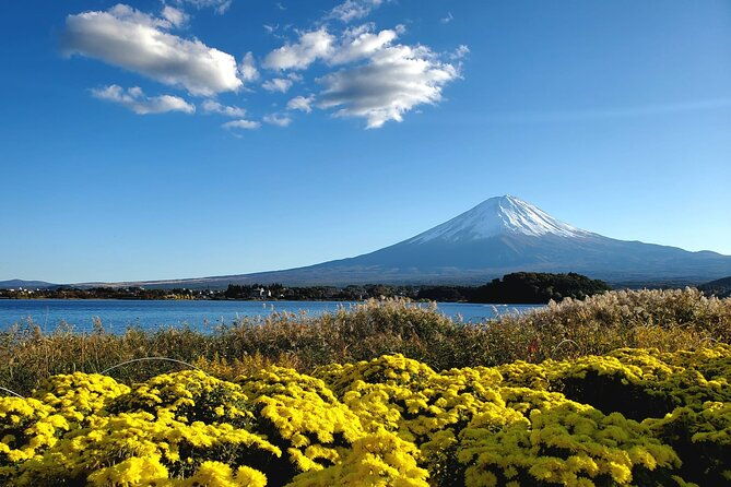 guided-mount-fuji-private-tour-green-number-plates